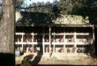 PELEA GALLOS