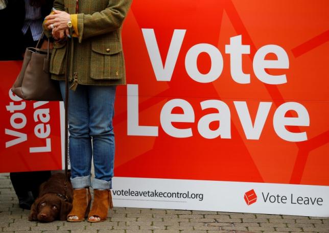 A supporter stands by a sign at the launch of the Vote Leave bus campaign, in favour of Britain leaving the European Union, in Truro, Britain May 11, 2016. REUTERS/Darren Staples