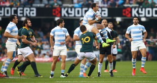lOS-pUMAS-SALTA