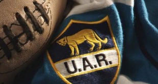 size1_11557_Los_Pumas