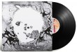 vinyl