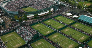 wimble